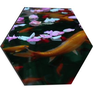 WallClassics - Dibond Hexagon - Goudvissen in Water met Bloemblaadjes - 40x34.8 cm Foto op Hexagon (Met Ophangsysteem)