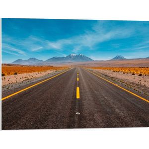 WallClassics - PVC Schuimplaat- Lange Rechte Weg door de Open Vlakte - 80x60 cm Foto op PVC Schuimplaat