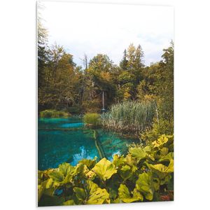 WallClassics - PVC Schuimplaat- Helder Blauw Water tussen Groene Planten - 80x120 cm Foto op PVC Schuimplaat