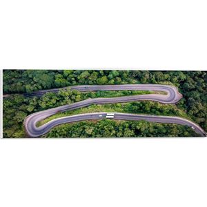 WallClassics - PVC Schuimplaat- Kronkelweg in Bos - 60x20 cm Foto op PVC Schuimplaat