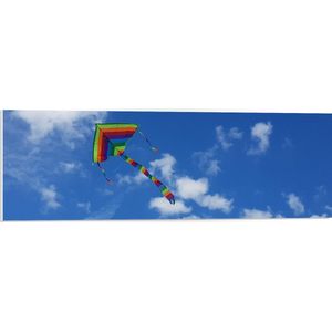 WallClassics - PVC Schuimplaat- Regenboog Vlieger in de Lucht - 90x30 cm Foto op PVC Schuimplaat