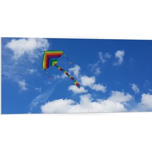 WallClassics - PVC Schuimplaat - Regenboog Vlieger in de Lucht - 100x50 cm Foto op PVC Schuimplaat (Met Ophangsysteem)
