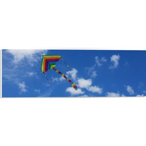 WallClassics - PVC Schuimplaat- Regenboog Vlieger in de Lucht - 60x20 cm Foto op PVC Schuimplaat