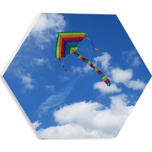 WallClassics - PVC Schuimplaat Hexagon  - Regenboog Vlieger in de Lucht - 30x26.1 cm Foto op Hexagon (Met Ophangsysteem)
