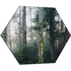 WallClassics - Dibond Hexagon - Mist tussen Bomen - 70x60.9 cm Foto op Hexagon (Met Ophangsysteem)