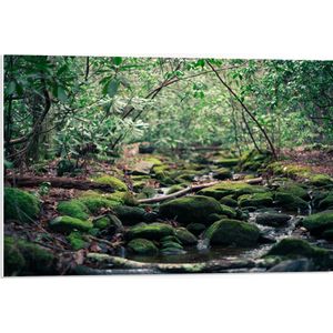 WallClassics - PVC Schuimplaat- Riviertje met Groene Stenen - 75x50 cm Foto op PVC Schuimplaat