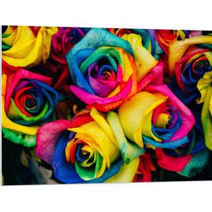 WallClassics - PVC Schuimplaat- Regenboog Rozen - 100x75 cm Foto op PVC Schuimplaat