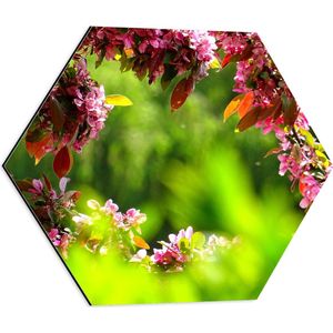 WallClassics - Dibond Hexagon - Roze Bladeren aan Tak - 50x43.5 cm Foto op Hexagon (Met Ophangsysteem)