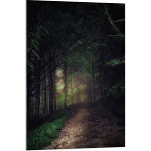 WallClassics - PVC Schuimplaat- Schuin Lopend Pad - 70x105 cm Foto op PVC Schuimplaat