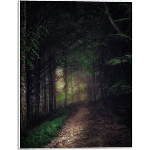 WallClassics - PVC Schuimplaat- Schuin Lopend Pad - 30x40 cm Foto op PVC Schuimplaat