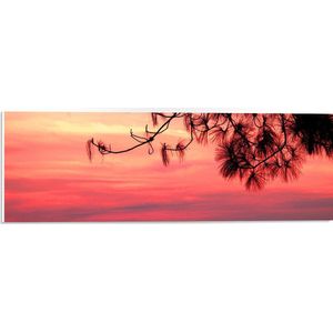 WallClassics - PVC Schuimplaat- Silhouet van Takken tegen Roze Lucht - 60x20 cm Foto op PVC Schuimplaat