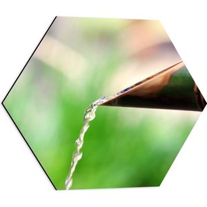 WallClassics - Dibond Hexagon - Water uit Bamboe - 50x43.5 cm Foto op Hexagon (Met Ophangsysteem)