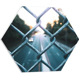 WallClassics - PVC Schuimplaat Hexagon  - Wegen achter Hek - 50x43.5 cm Foto op Hexagon (Met Ophangsysteem)
