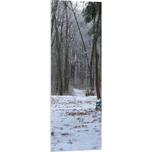 WallClassics - PVC Schuimplaat- Winterbos - 40x120 cm Foto op PVC Schuimplaat