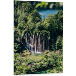 WallClassics - PVC Schuimplaat - Watervallen vanuit Bomen naar Beneden - 80x120 cm Foto op PVC Schuimplaat (Met Ophangsysteem)