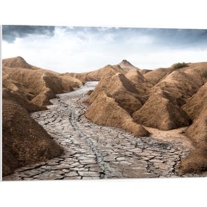 WallClassics - PVC Schuimplaat- Stenen Pad tussen Hopen - 80x60 cm Foto op PVC Schuimplaat