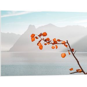 WallClassics - PVC Schuimplaat - Oranje Bladeren aan Tak voor Bergen - 80x60 cm Foto op PVC Schuimplaat (Met Ophangsysteem)
