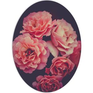 WallClassics - PVC Schuimplaat Ovaal - Grote Roze Bloemen - 60x80 cm Foto op Ovaal  (Met Ophangsysteem)