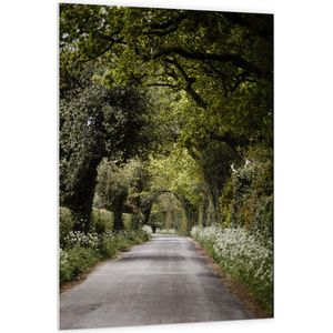 WallClassics - PVC Schuimplaat- Wandelpad onder Groene Bomen - 100x150 cm Foto op PVC Schuimplaat