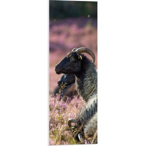 WallClassics - PVC Schuimplaat- GuteFâr Geit bij Roze Bloemetjes - 30x90 cm Foto op PVC Schuimplaat