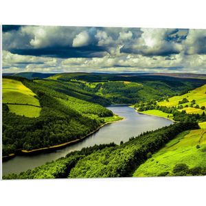 WallClassics - PVC Schuimplaat - Rivier door Groen Landschap - 80x60 cm Foto op PVC Schuimplaat (Met Ophangsysteem)