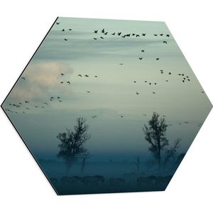 WallClassics - Dibond Hexagon - Paarden in de Mist - 60x52.2 cm Foto op Hexagon (Met Ophangsysteem)
