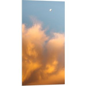 WallClassics - PVC Schuimplaat - Oranje Wolken - 50x100 cm Foto op PVC Schuimplaat (Met Ophangsysteem)