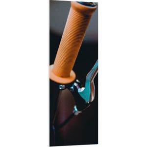 WallClassics - PVC Schuimplaat - Close up van Handvat en Rem van Fiets - 50x150 cm Foto op PVC Schuimplaat (Met Ophangsysteem)