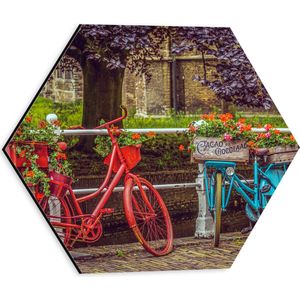 WallClassics - Dibond Hexagon - Rood/Blauwe Fietsen met Bloemen Gevuld - 30x26.1 cm Foto op Hexagon (Met Ophangsysteem)