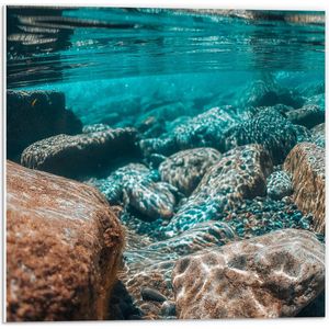 WallClassics - PVC Schuimplaat - Helder Blauw Water bij Natuurstenen - 50x50 cm Foto op PVC Schuimplaat (Met Ophangsysteem)