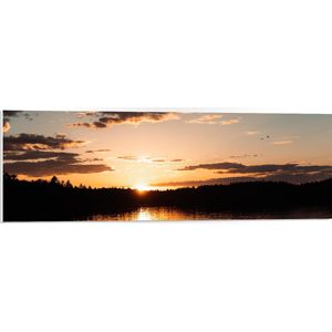 WallClassics - PVC Schuimplaat - Zonsondergang aan Bosrand - 90x30 cm Foto op PVC Schuimplaat (Met Ophangsysteem)