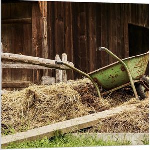 WallClassics - PVC Schuimplaat - Kruiwagen op Mesthoop - 80x80 cm Foto op PVC Schuimplaat (Met Ophangsysteem)