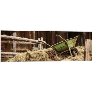 WallClassics - PVC Schuimplaat - Kruiwagen op Mesthoop - 120x40 cm Foto op PVC Schuimplaat (Met Ophangsysteem)
