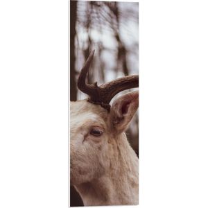 WallClassics - PVC Schuimplaat- Wit Hert in het Bos - 30x90 cm Foto op PVC Schuimplaat