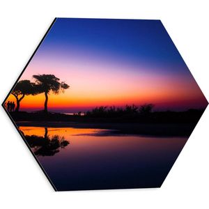 WallClassics - Dibond Hexagon - Schommel bij Bomen en zonsondergang - 30x26.1 cm Foto op Hexagon (Met Ophangsysteem)