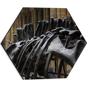WallClassics - Dibond Hexagon - Zwart Skelet van een Dino - 30x26.1 cm Foto op Hexagon (Met Ophangsysteem)