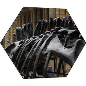 WallClassics - Dibond Hexagon - Zwart Skelet van een Dino - 60x52.2 cm Foto op Hexagon (Met Ophangsysteem)