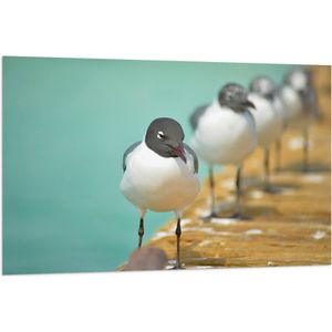 WallClassics - Vlag - Vogels op de Steiger - 120x80 cm Foto op Polyester Vlag