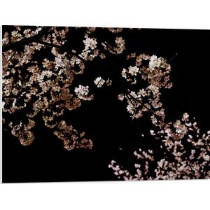 WallClassics - PVC Schuimplaat- Wit met Roze Bloementjes met Zwarte Achtergrond - 80x60 cm Foto op PVC Schuimplaat