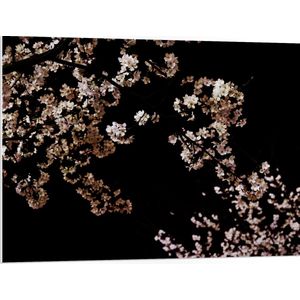 WallClassics - PVC Schuimplaat- Wit met Roze Bloementjes met Zwarte Achtergrond - 100x75 cm Foto op PVC Schuimplaat