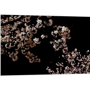 WallClassics - PVC Schuimplaat- Wit met Roze Bloementjes met Zwarte Achtergrond - 105x70 cm Foto op PVC Schuimplaat
