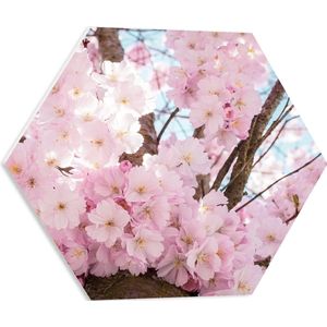 WallClassics - PVC Schuimplaat Hexagon  - Roze Bloemen in een Boom - 50x43.5 cm Foto op Hexagon (Met Ophangsysteem)