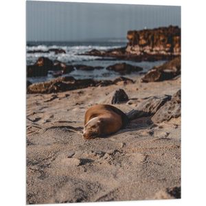 WallClassics - Vlag - Liggende Zeehond op het Strand - 75x100 cm Foto op Polyester Vlag