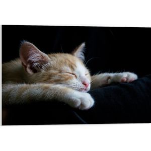 WallClassics - PVC Schuimplaat- Slapende Oranje Poes - 75x50 cm Foto op PVC Schuimplaat