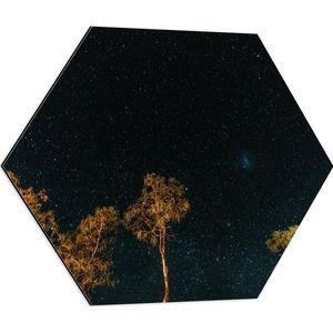 WallClassics - Dibond Hexagon - Bomen in de Nacht onder Sterrenhemel - 60x52.2 cm Foto op Hexagon (Met Ophangsysteem)