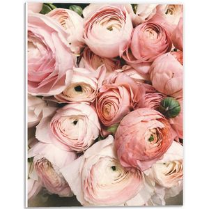 WallClassics - PVC Schuimplaat- Bos Lichtroze Rozen - 30x40 cm Foto op PVC Schuimplaat