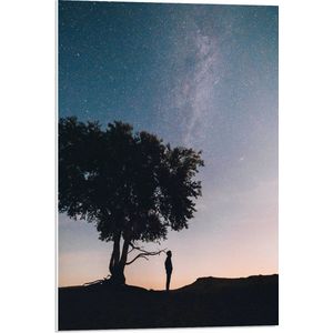 WallClassics - PVC Schuimplaat - Silhouet van Persoon onder Boom bij Sterren - 50x75 cm Foto op PVC Schuimplaat (Met Ophangsysteem)