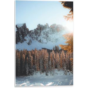 WallClassics - PVC Schuimplaat- Zonnestralen over Kleine Boompjes in Sneeuwlandschap - 40x60 cm Foto op PVC Schuimplaat