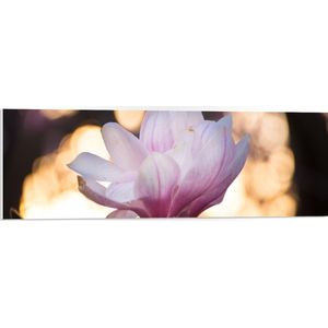 WallClassics - PVC Schuimplaat- Zijaanzicht van Roze Bloem met Lampjes - 90x30 cm Foto op PVC Schuimplaat