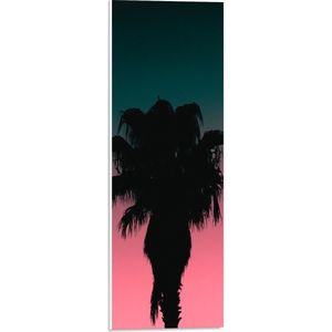 WallClassics - PVC Schuimplaat- Silhouet van Palmboom bij Blauw/Roze Lucht - 20x60 cm Foto op PVC Schuimplaat